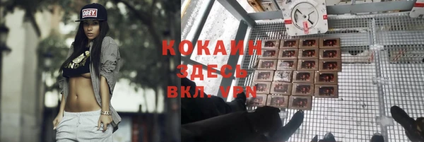 винт Горно-Алтайск