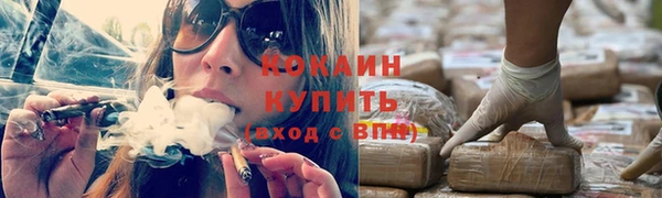 винт Горно-Алтайск