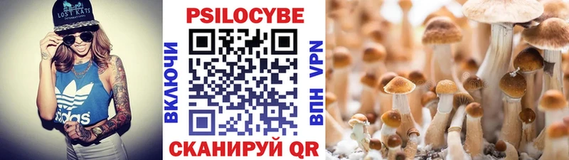 где найти   Инта  Псилоцибиновые грибы мухоморы 